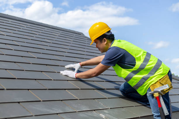 Best Metal Roofing Contractor  in Washoe Valley, NV