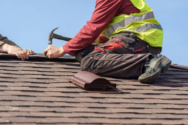 Best Residential Roof Replacement  in Washoe Valley, NV