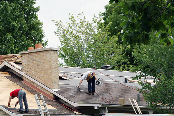 Quick and Trustworthy Emergency Roof Repair Services in Washoe Valley, NV