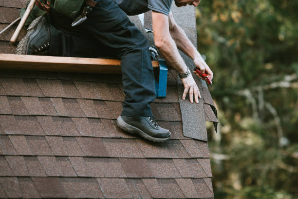 Best Roof Leak Repair  in Washoe Valley, NV